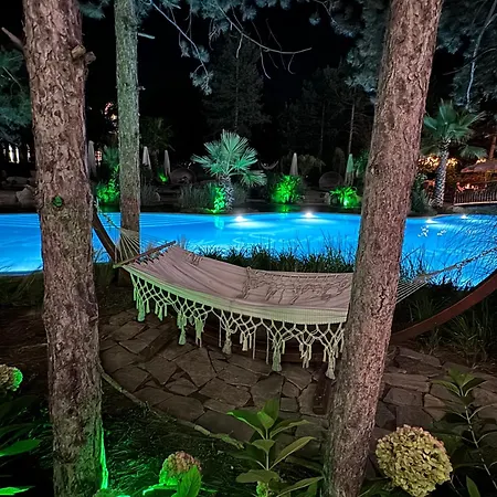 Harmony Grand - Gut *