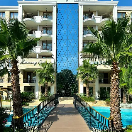 Harmony Grand - Gut *